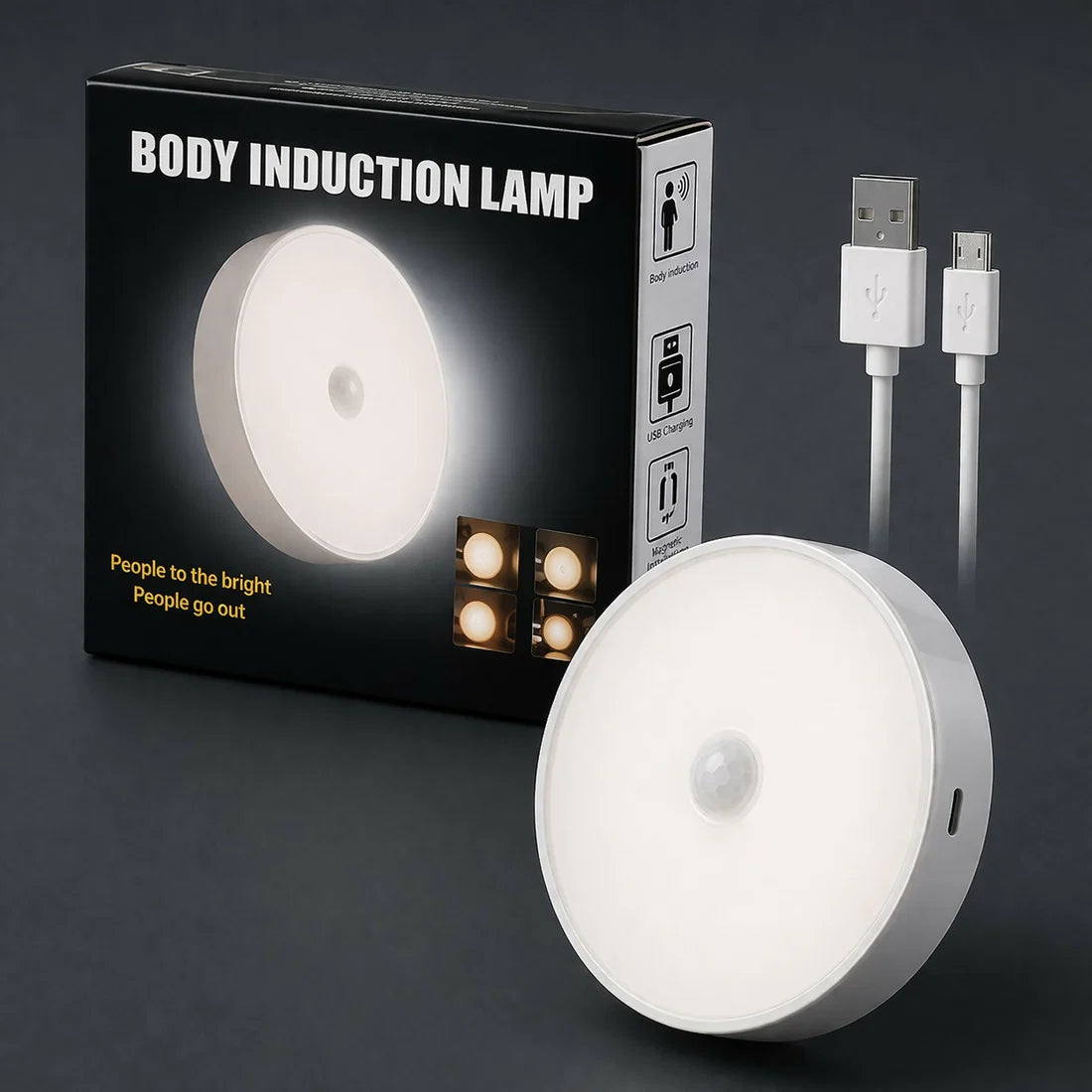 Motion Sensor LED Night Light (Rechargeable USB)